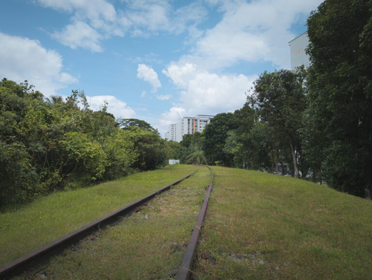 clementi-1