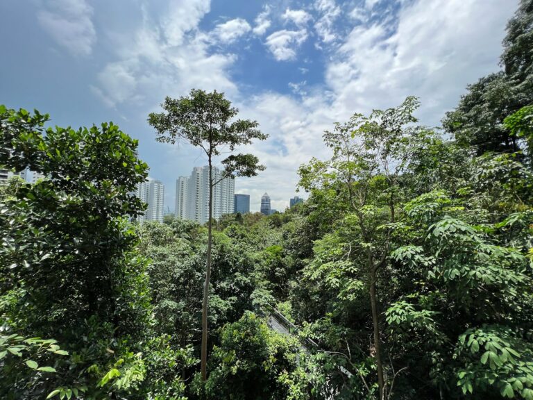 pasir-panjang-1