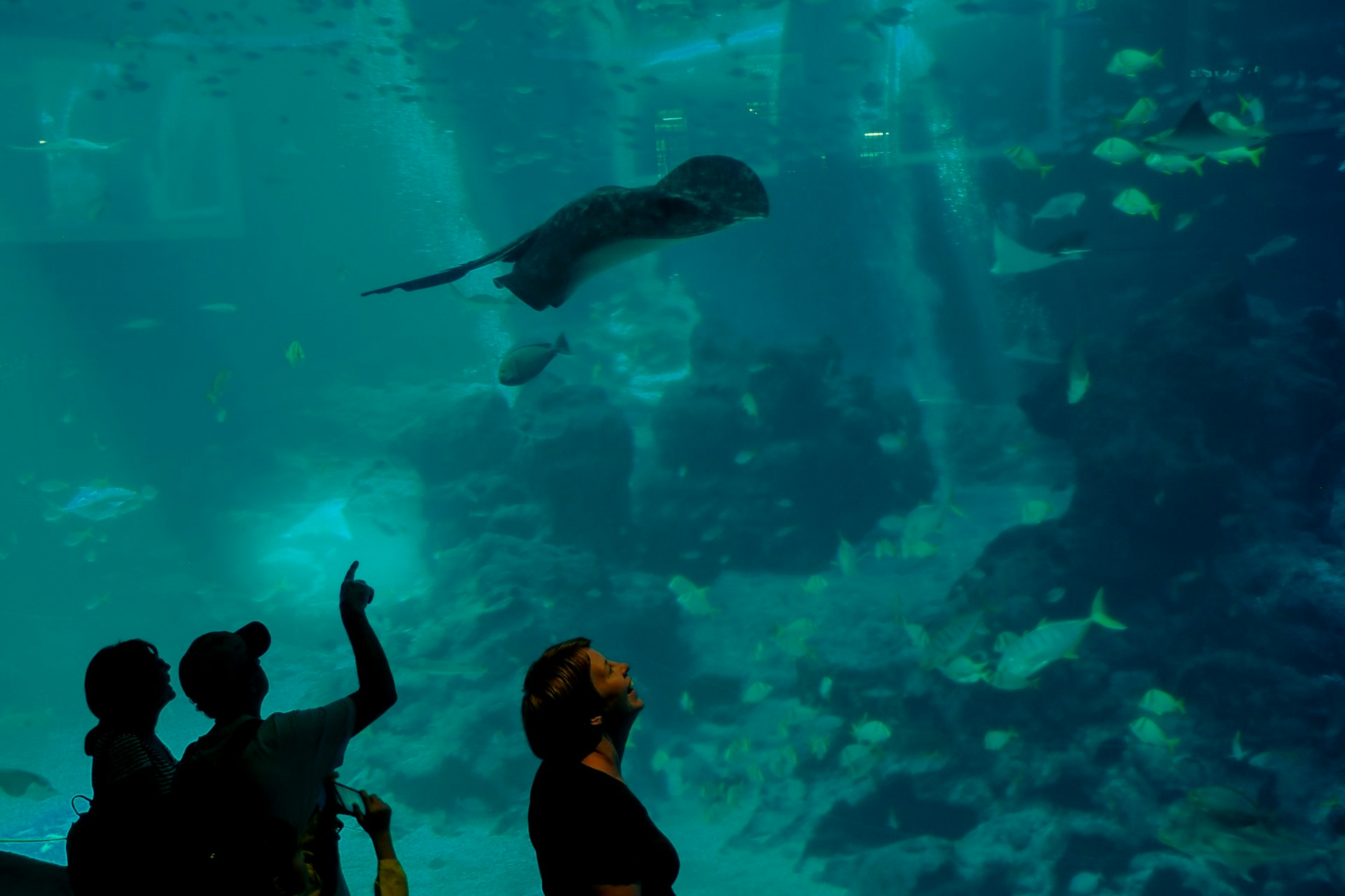 sentosa-2