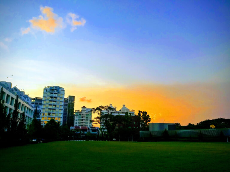 Sunset Newton