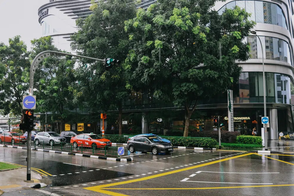 Holland Village