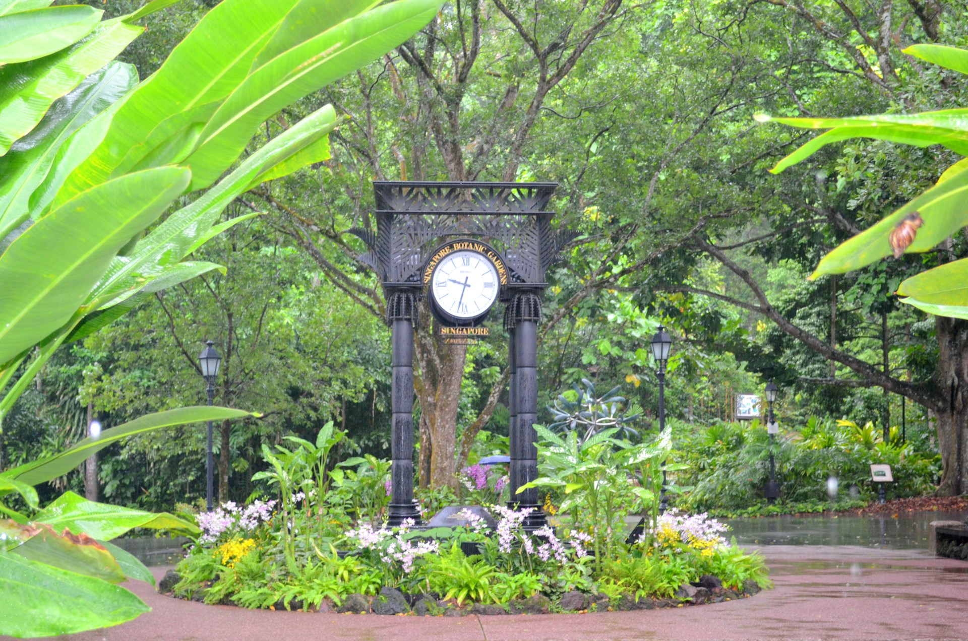 tanglin-2